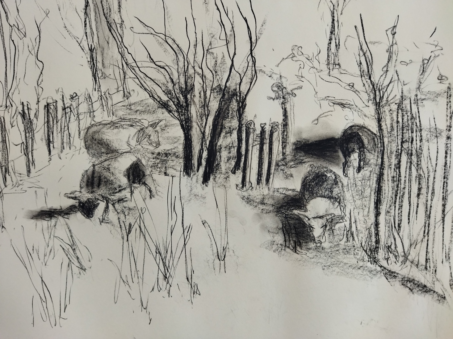 schapen onder de wilgen 