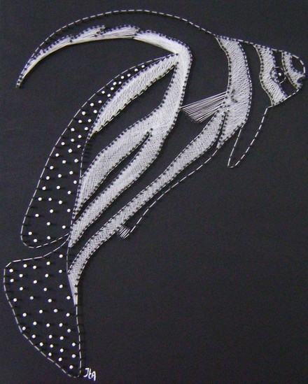 SPOTTED DRUM