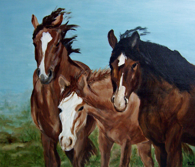 paarden