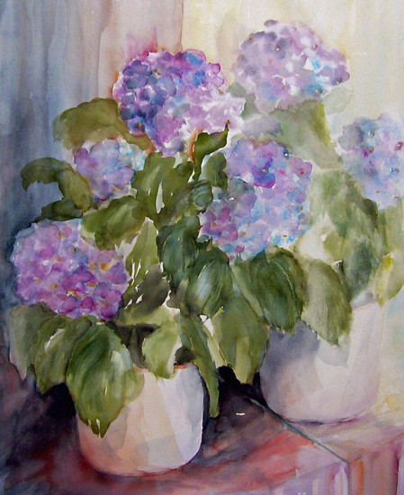 hortensia