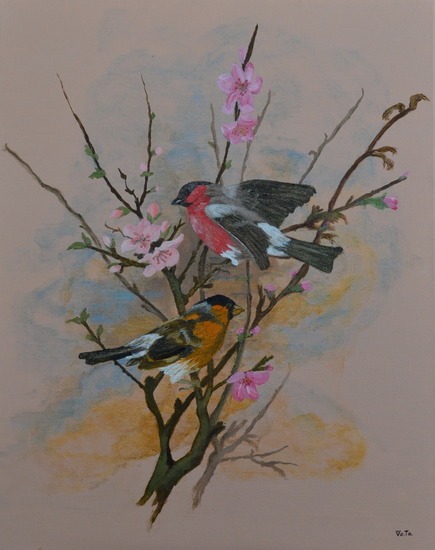 vogeltjes