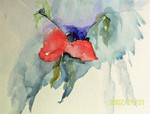 bloemen,stilleven architectuur en abstract in aquarel