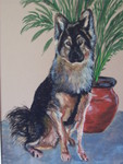 pastels op velours