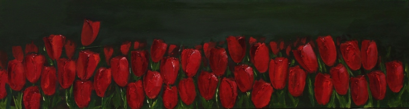 Tulipfield 2