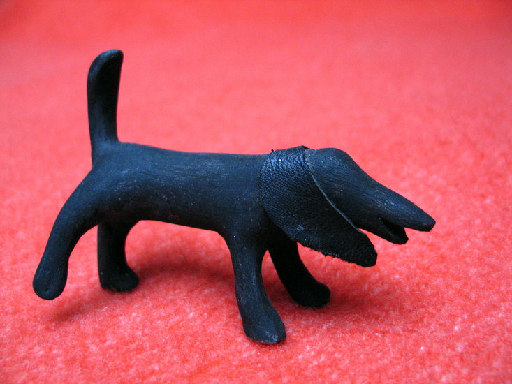 zwarte hond