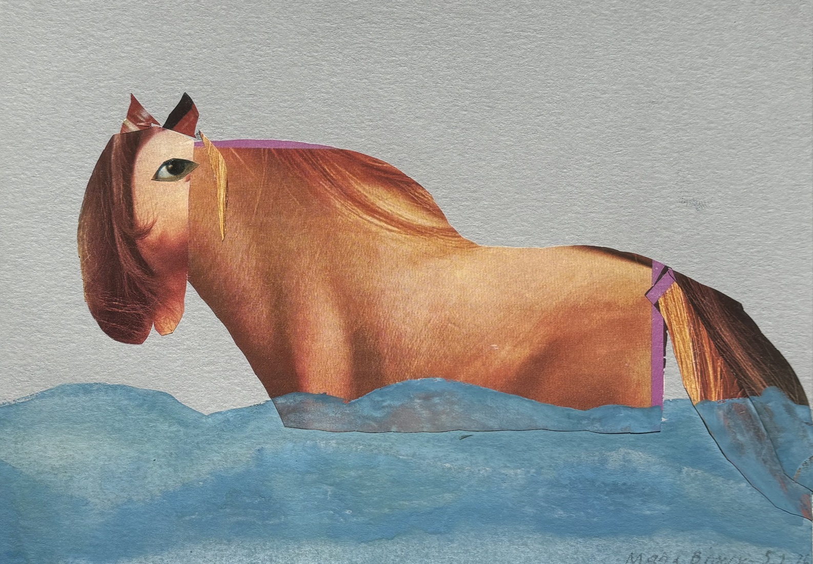 Horse in the water