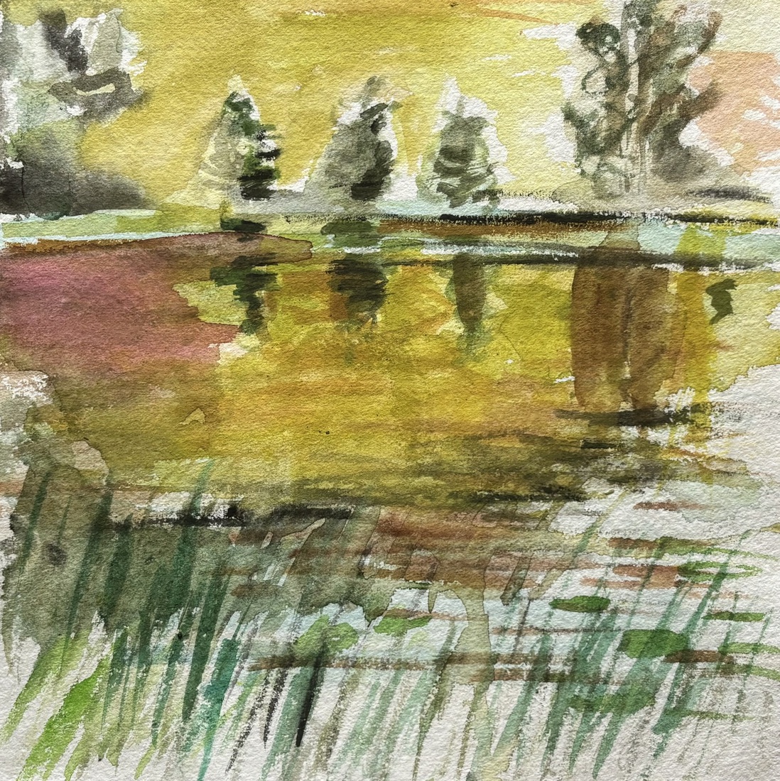 Hållsjön 3