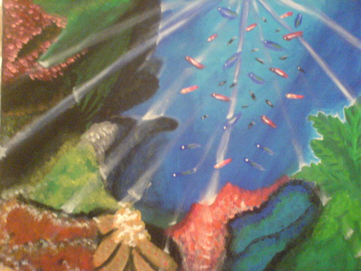 Diep zee GERESERVEERD