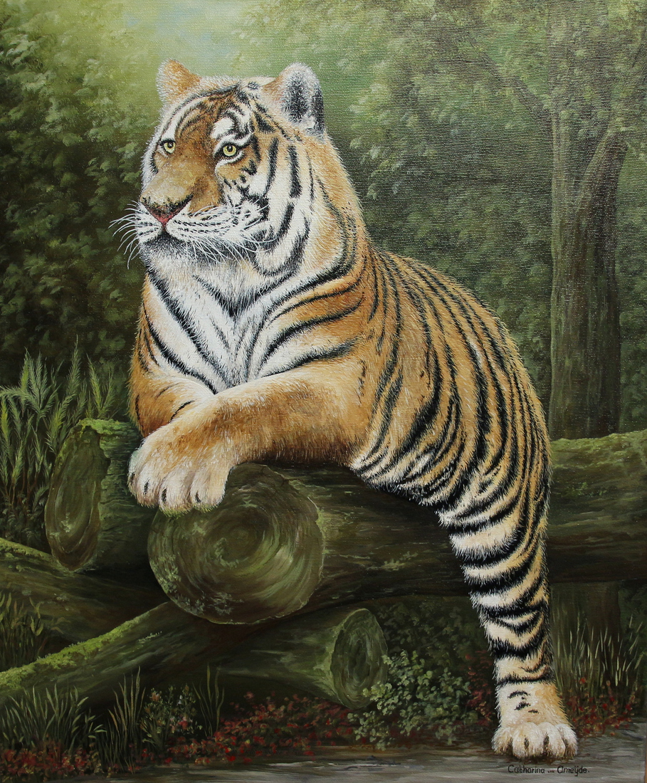 Sumatraanse Tijger 