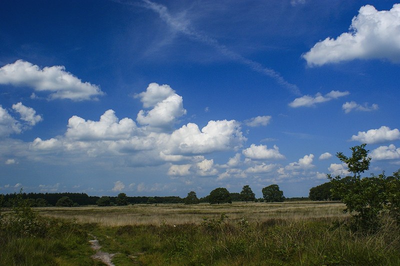 wolken 7