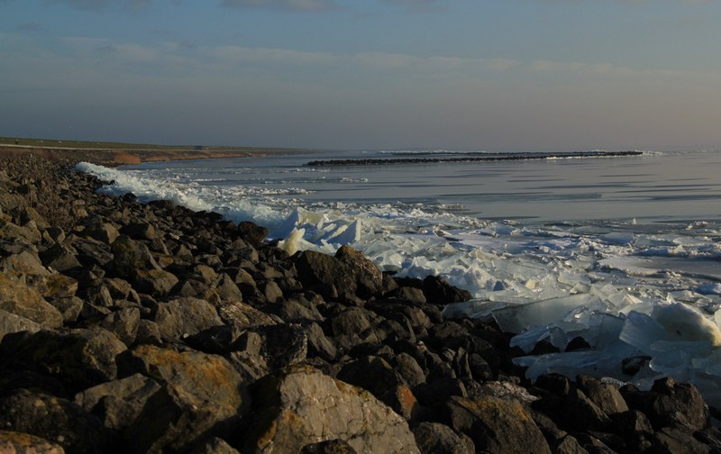ongekende schoonheid