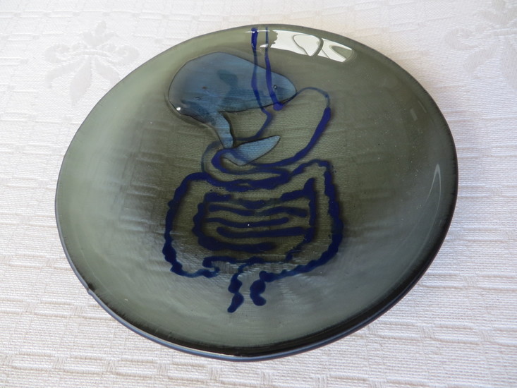 Digestive Tract 2 schaaltje