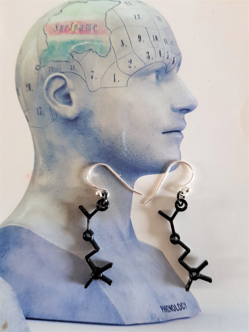 Memorie molecule oorbellen in zilver en zwart 