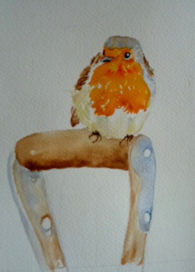 Roodborstje in de tuin1