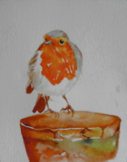 Roodborstje in de tuin 3