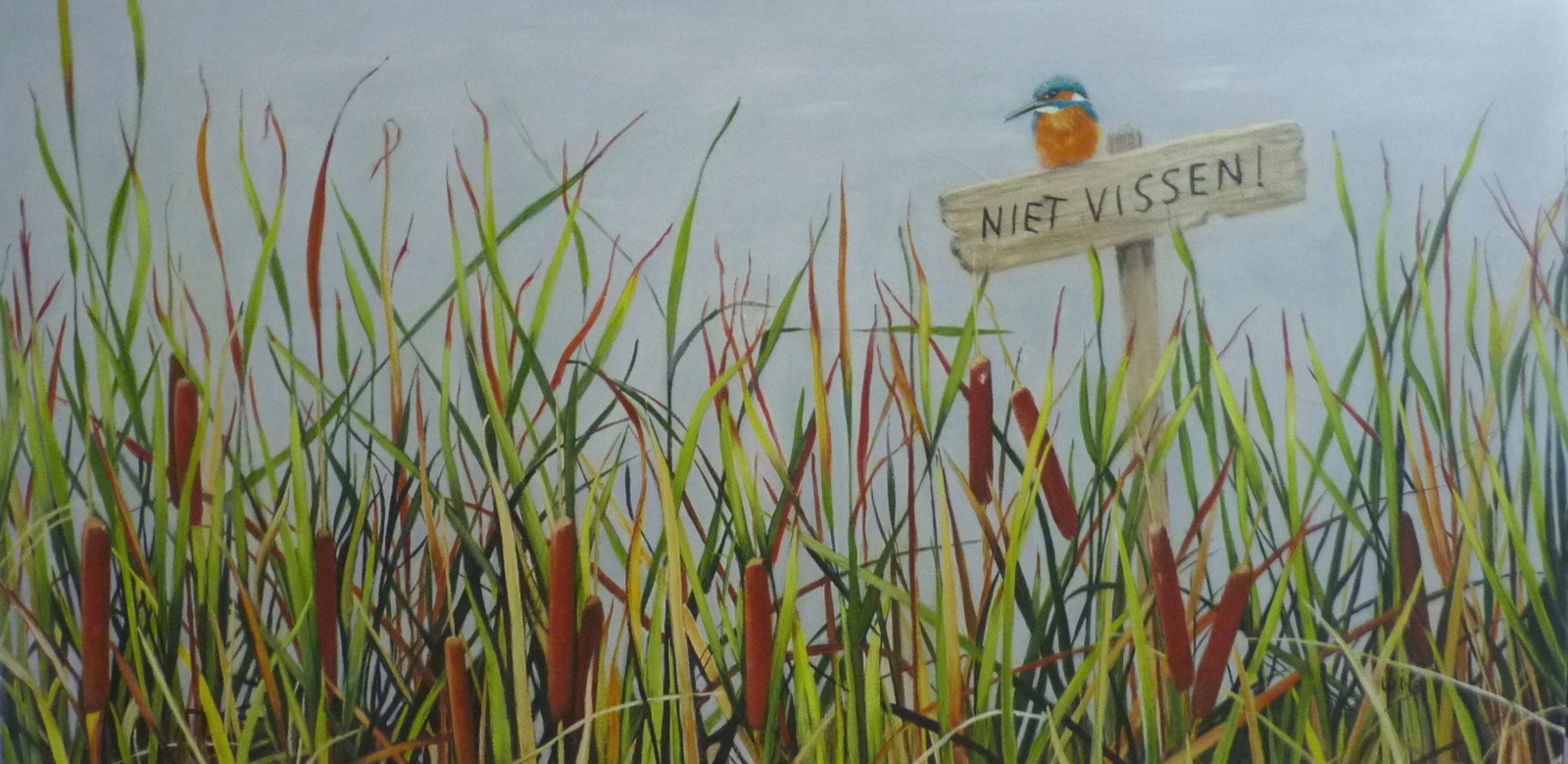 Ijsvogeltje aan de waterkant