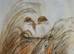 Aquarel dieren