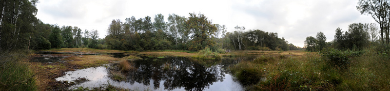 Panorama Aamsveen 3