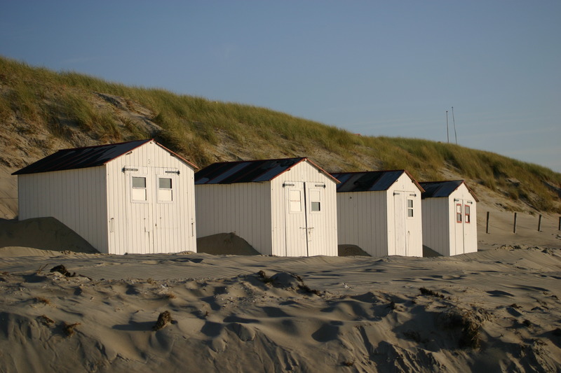 texel