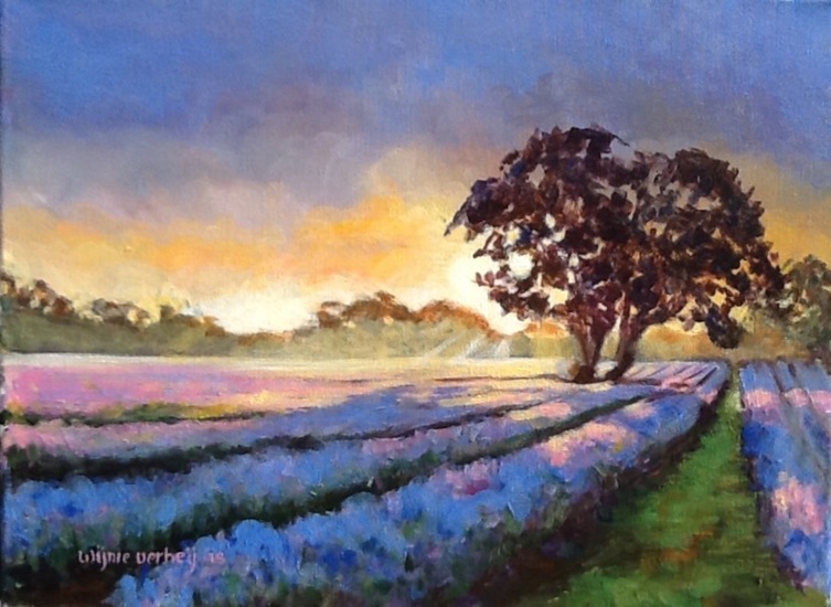 Zomer in de Provence