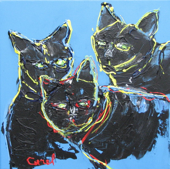 drie zwarte katten