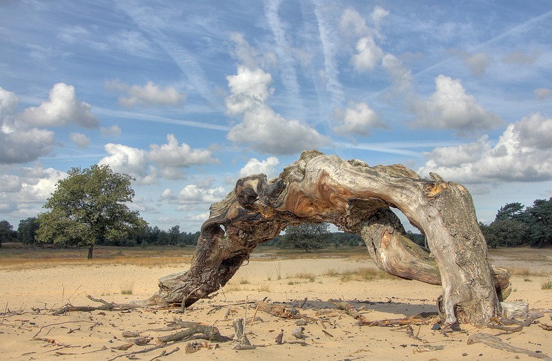 DRUNENSE DUINEN