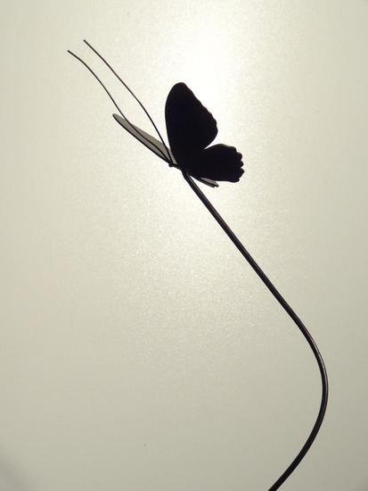 Bronzen vlinder op spiraal