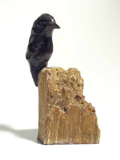 Bronzen ijsvogel op tak