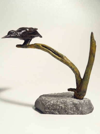 Bronzen IJsvogel in aanval