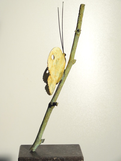 Bronzen vlinder op schuine tak