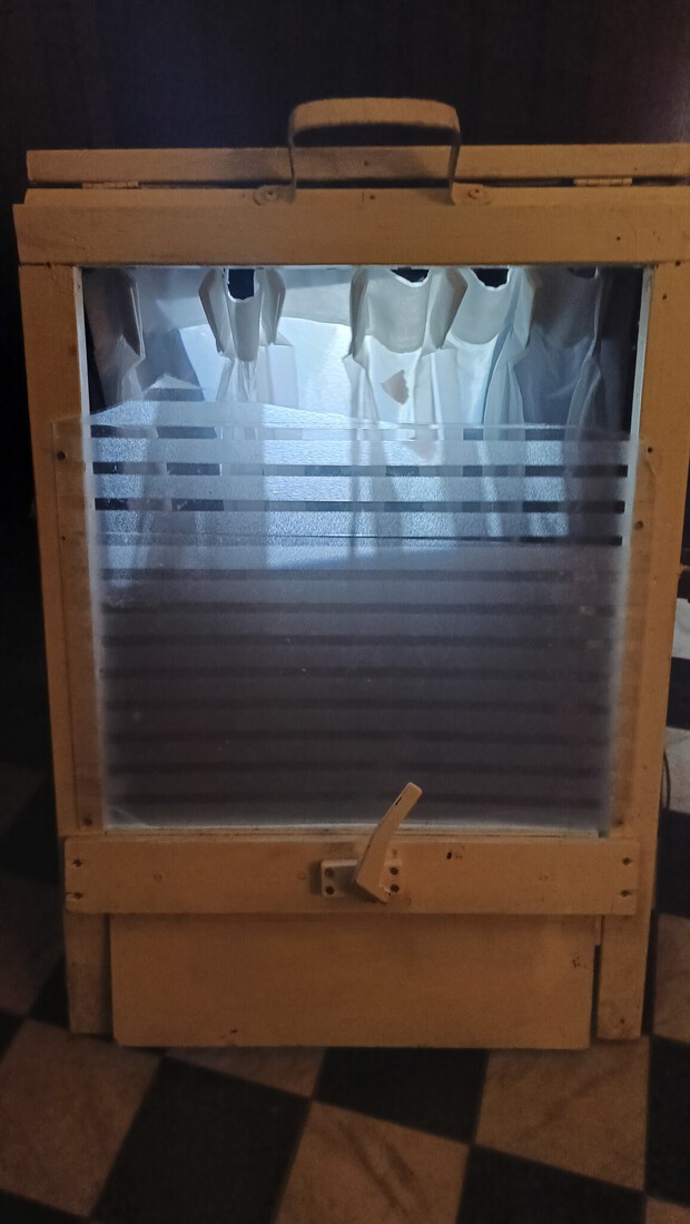 008 Video installatie: The moth