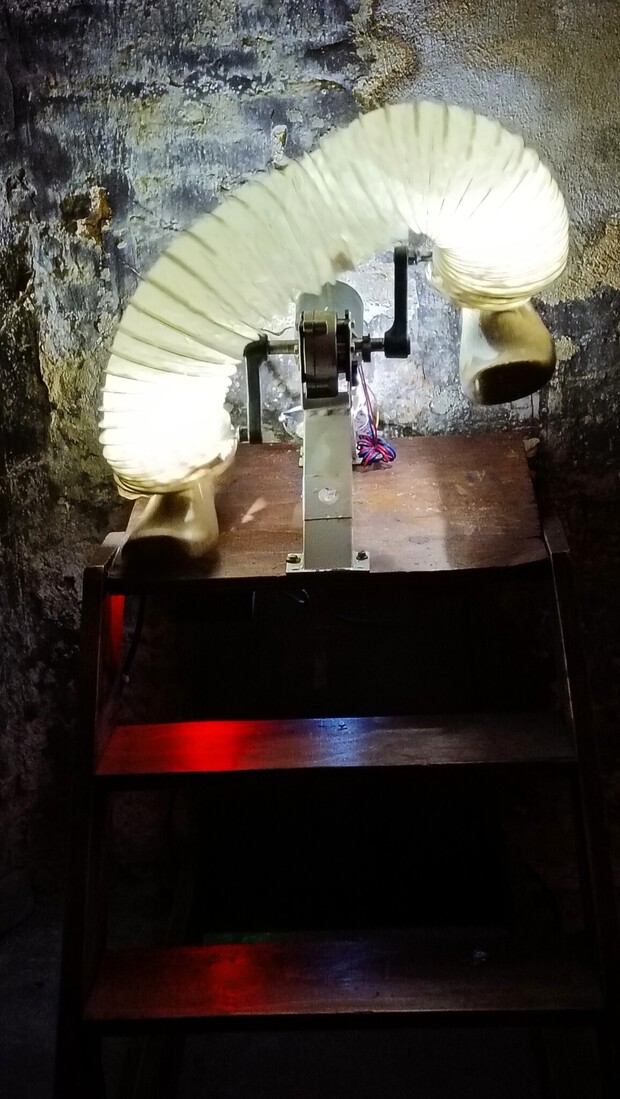 014 Kinetische installatie: Walking the dog