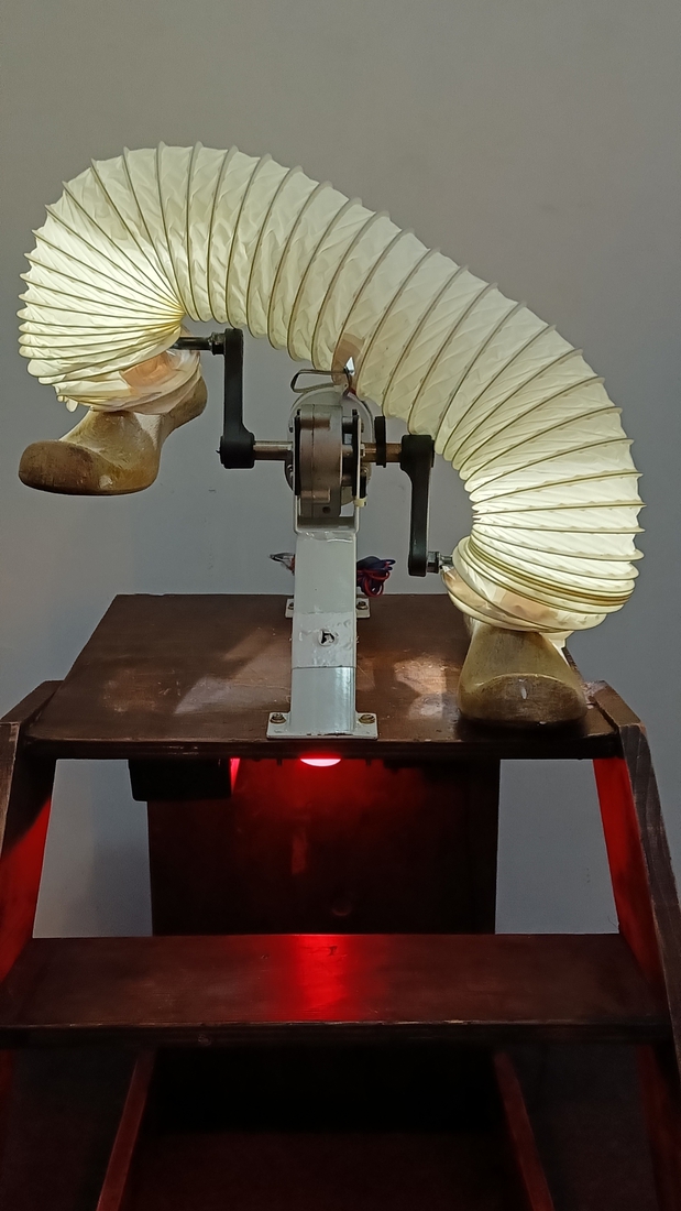 014 Kinetische installatie: Walking the dog