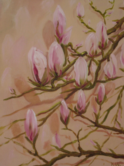 magnolia