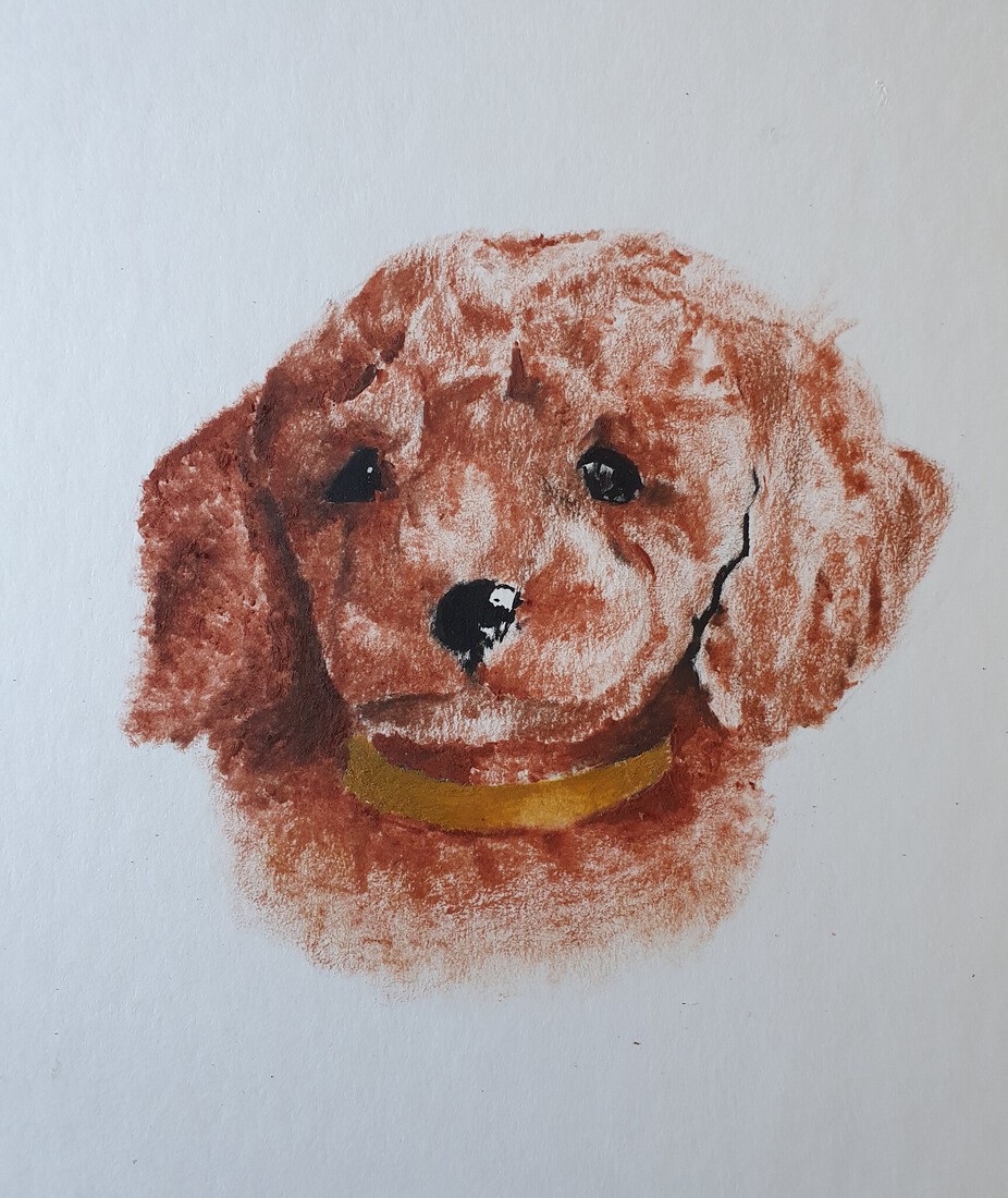 Hondje Remo in opdracht