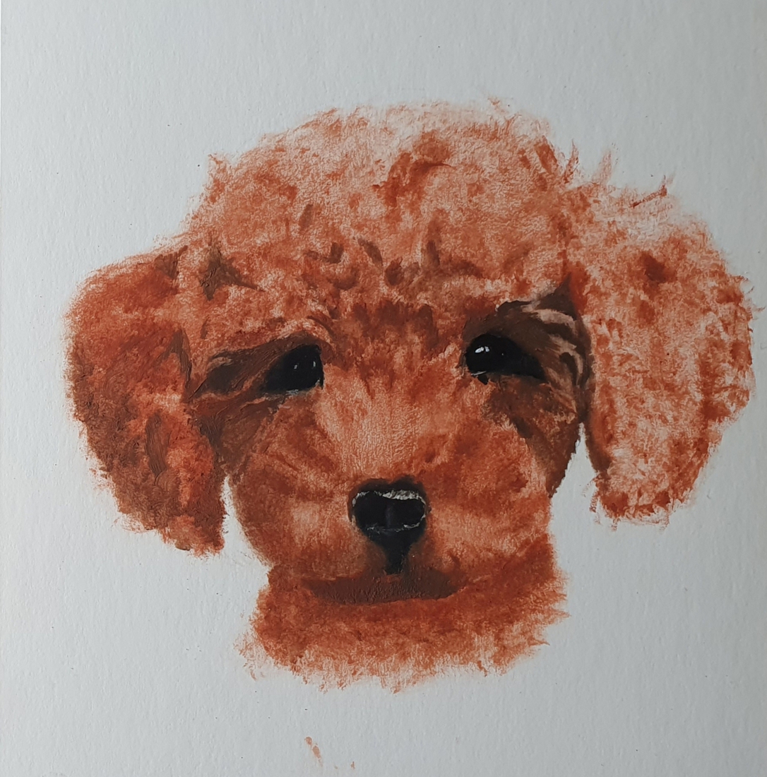 Hondje Remo in opdracht