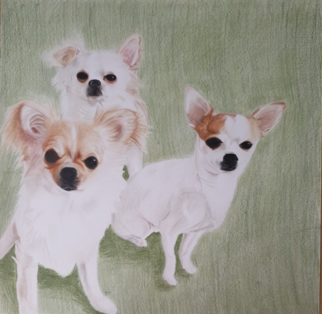 Hondjes Paco, Buddy en Bobbie