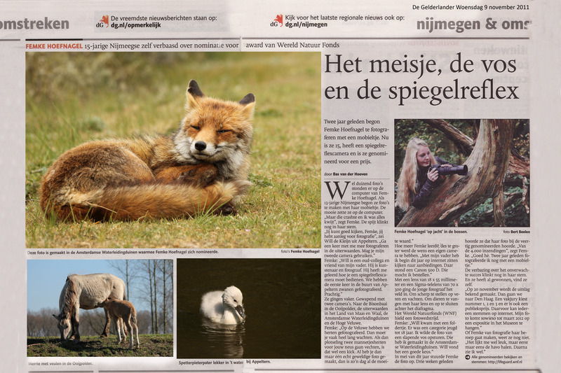 Dagblad 'de Gelderlander'