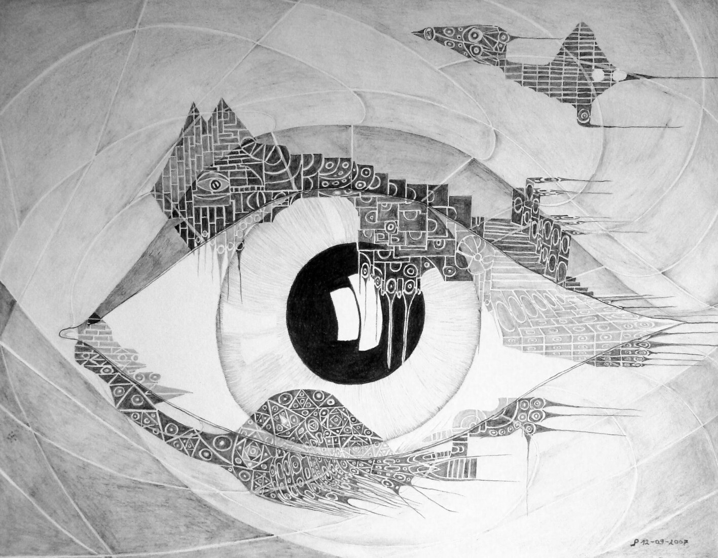 Oog.