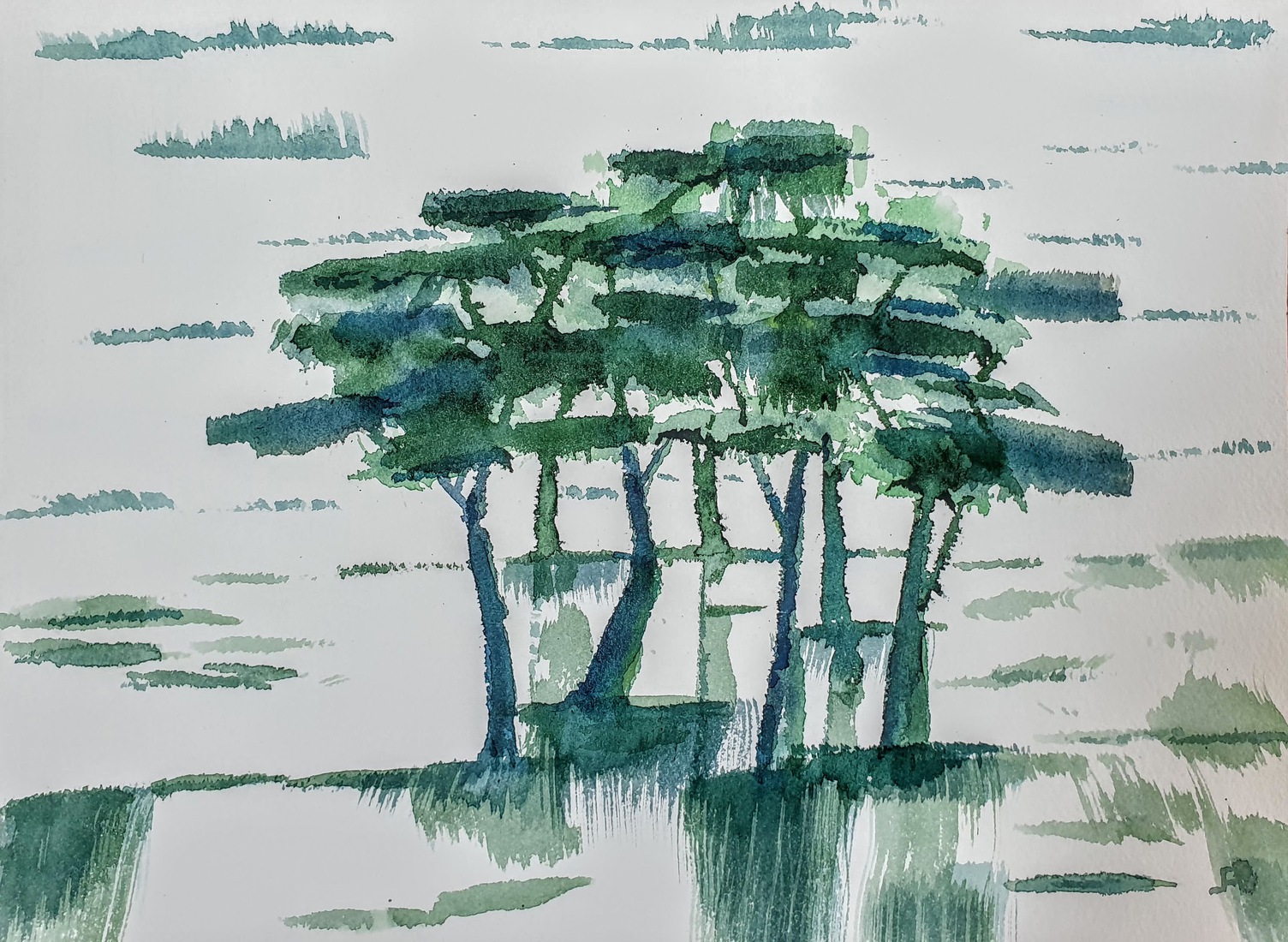 Groepje bomen.