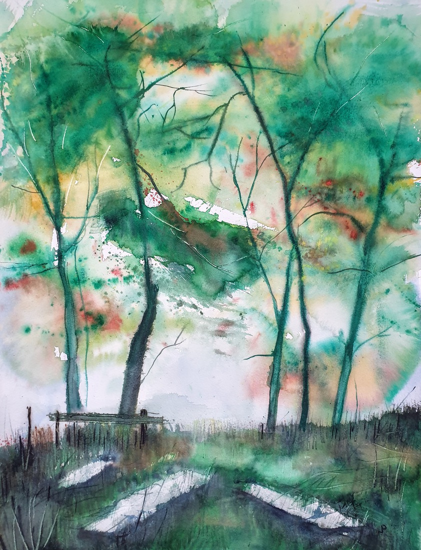 Groepje bomen.