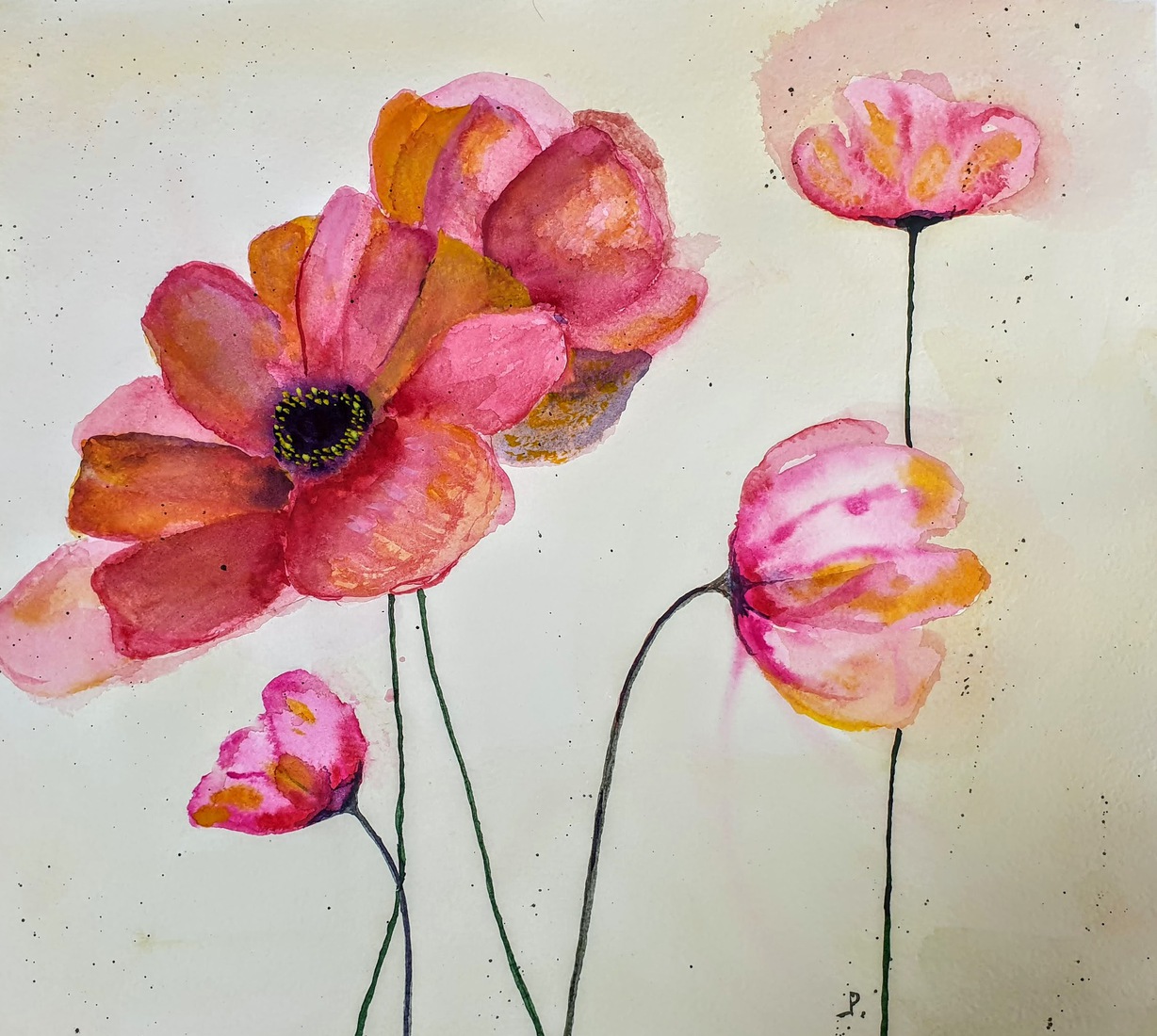 Papaver 2.
