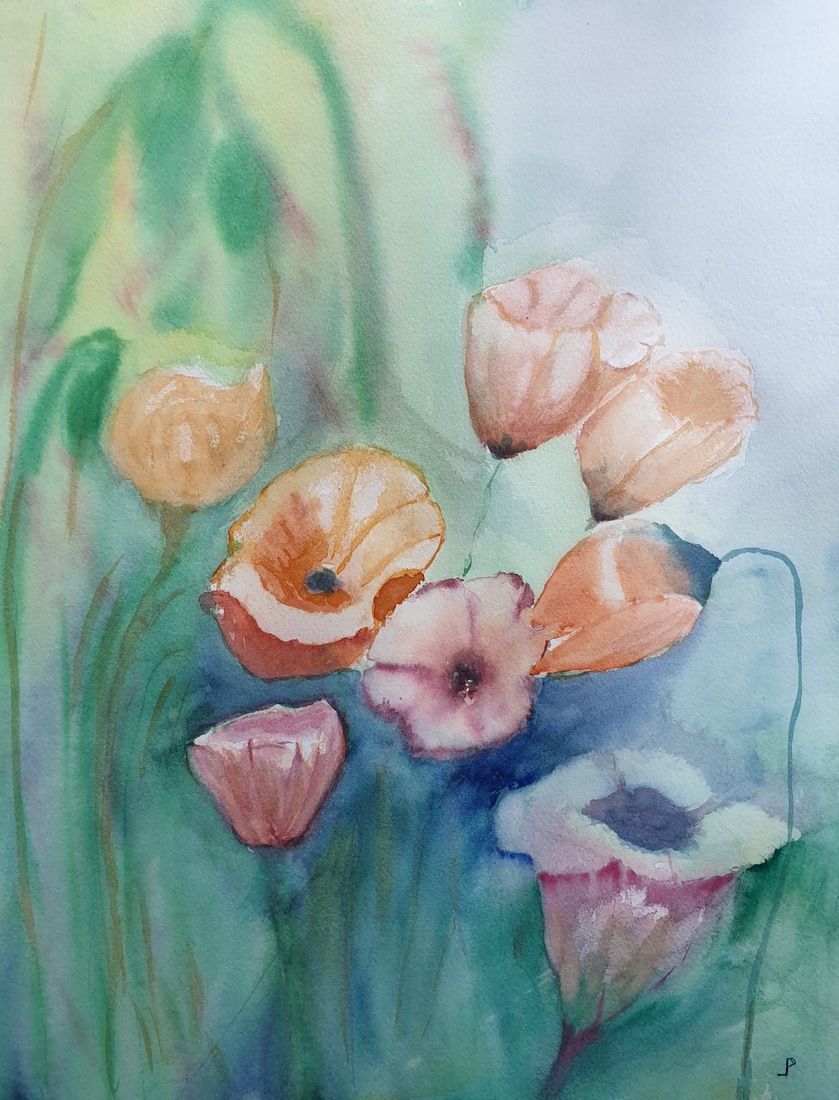 Papavers.