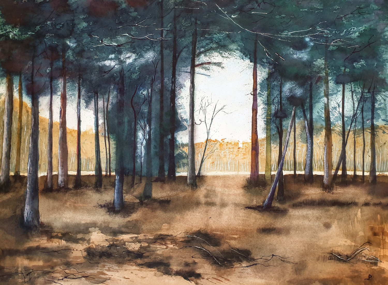 Het bos.