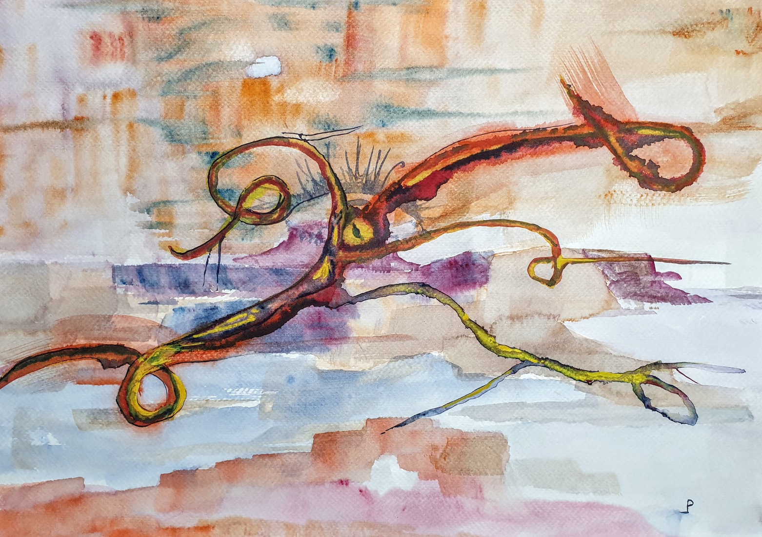 Octopus.
