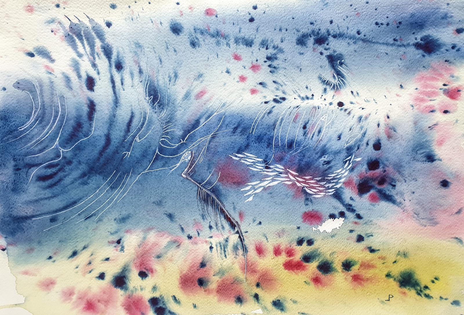 Zeewier 2.