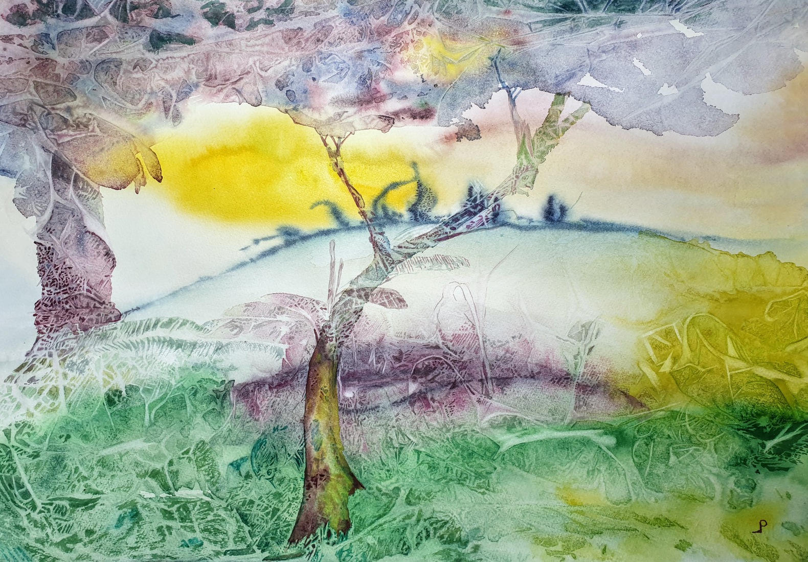 Bomen fantasie.