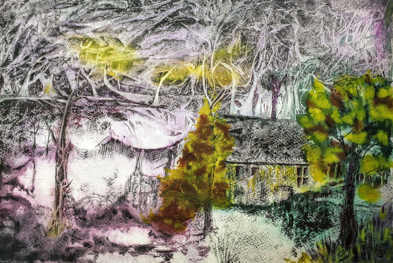 Huis aan de rand van het bos.