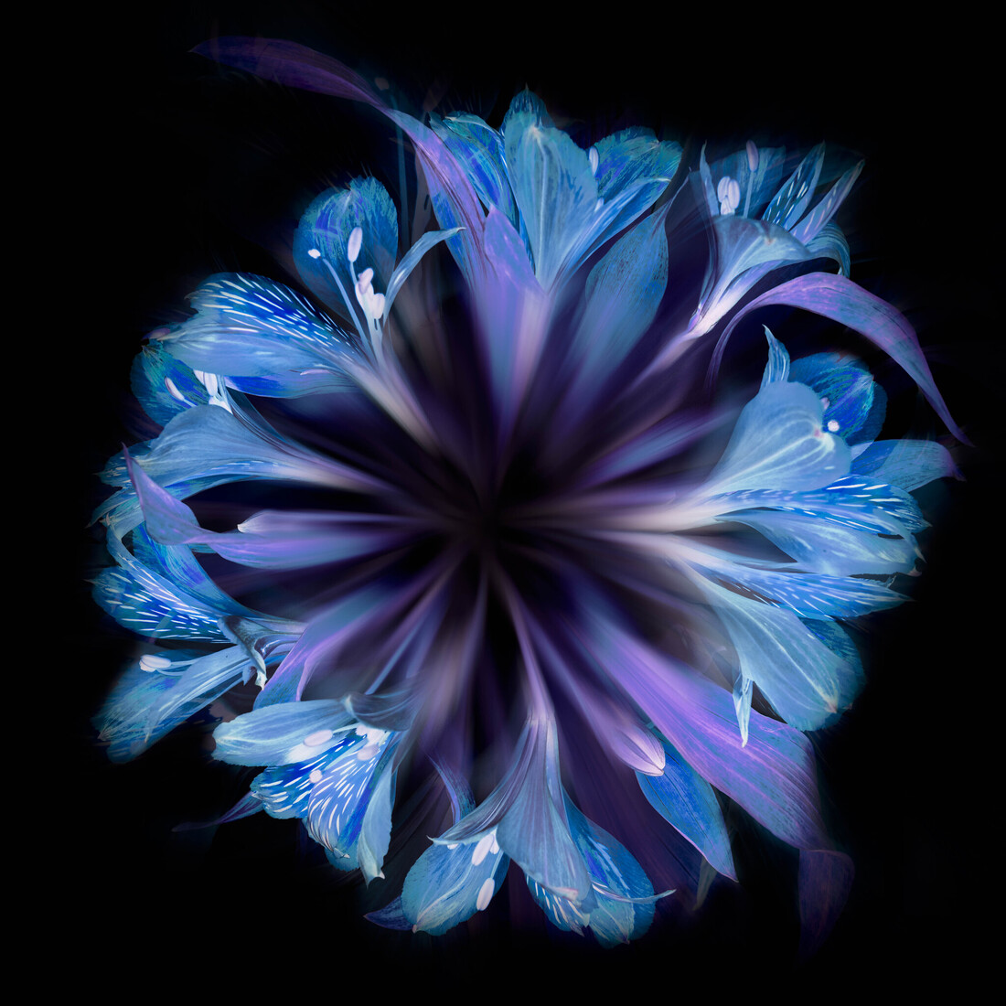 Bloemen cirkel in blauw