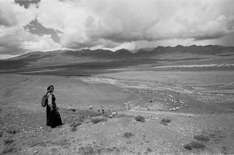 Vrouw in landschap